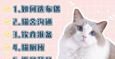 有什么办法避免布偶猫得猫瘟，怎么防止布偶掉毛