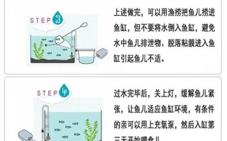 热带鱼怎么换水技巧冬季，热带鱼换水怎么快速加热